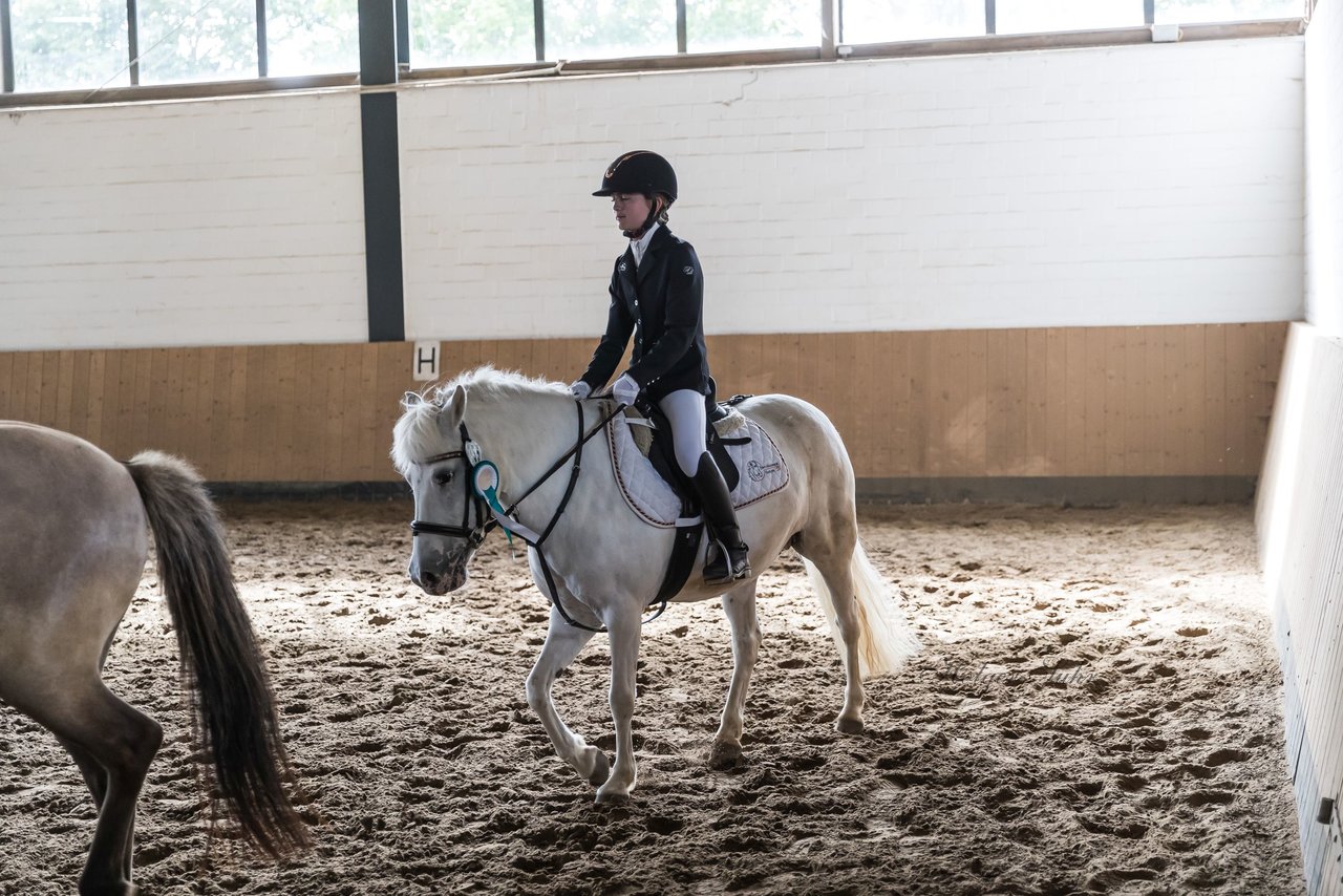 Bild 220 - Pony Akademie Turnier